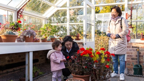 Visitors exploring the glasshouse at Quarry Bank, Cheshire
